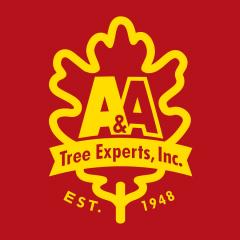 A&A Tree experts, Inc.